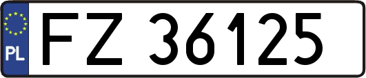 FZ36125