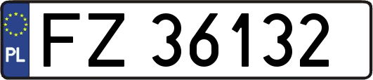 FZ36132