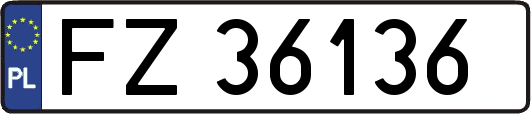 FZ36136