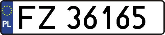 FZ36165