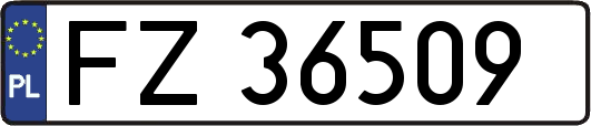 FZ36509