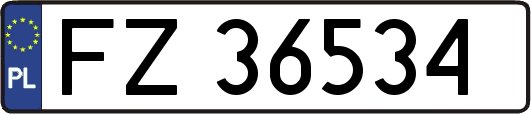 FZ36534