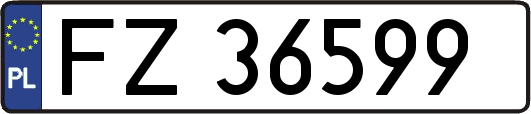 FZ36599