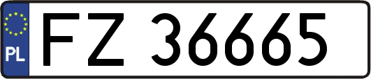 FZ36665
