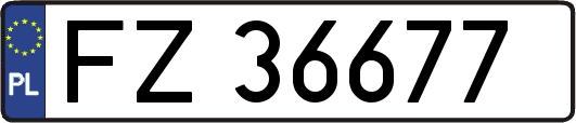 FZ36677