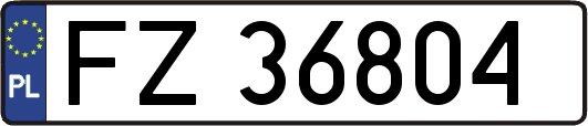 FZ36804