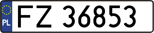 FZ36853