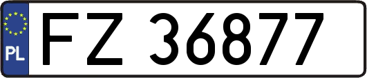 FZ36877
