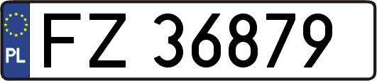 FZ36879