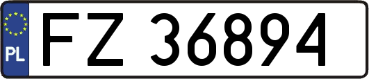 FZ36894
