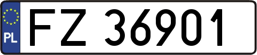 FZ36901