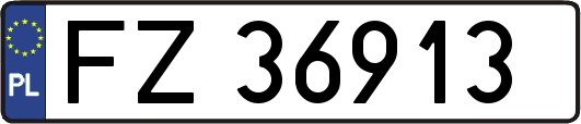 FZ36913