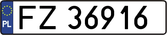 FZ36916