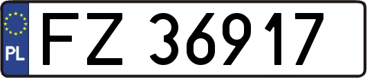FZ36917