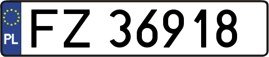 FZ36918