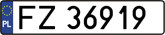 FZ36919