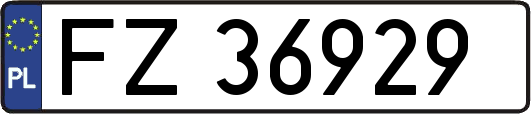FZ36929