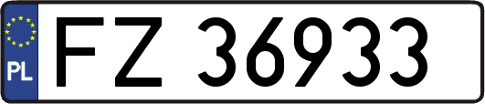 FZ36933