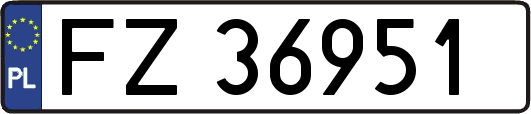 FZ36951