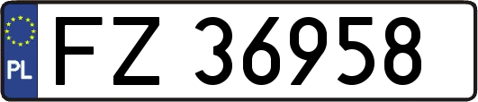 FZ36958
