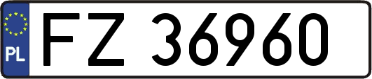 FZ36960