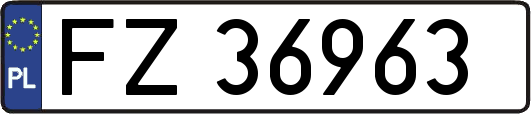 FZ36963