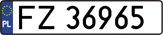 FZ36965