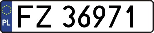 FZ36971