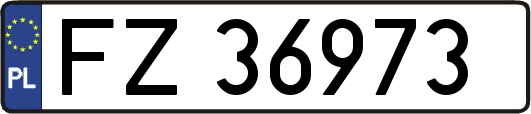 FZ36973