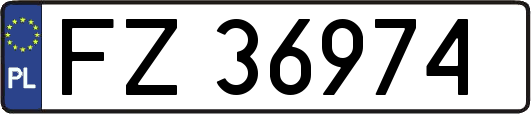FZ36974
