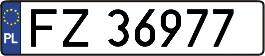 FZ36977