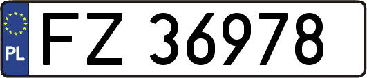 FZ36978