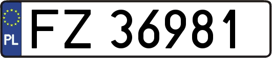 FZ36981