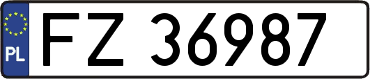 FZ36987