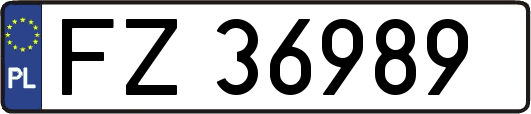 FZ36989