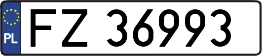 FZ36993
