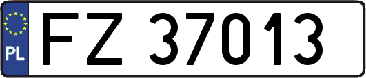 FZ37013
