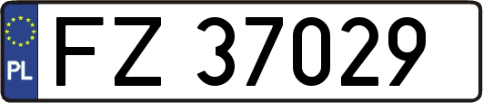 FZ37029