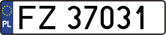 FZ37031