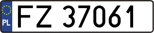 FZ37061