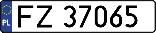 FZ37065