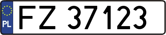 FZ37123