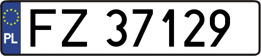 FZ37129