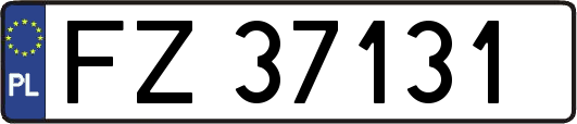 FZ37131