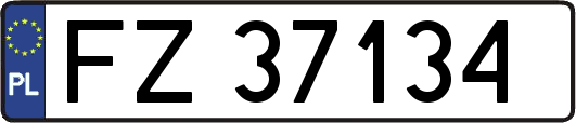 FZ37134