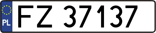 FZ37137
