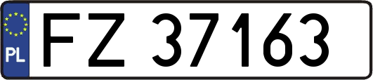 FZ37163