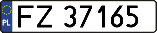 FZ37165