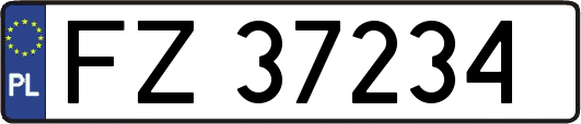 FZ37234