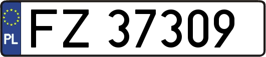 FZ37309